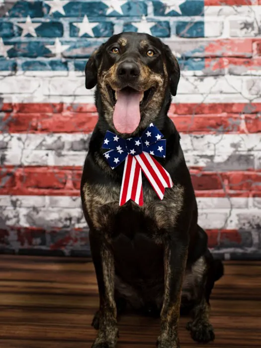 Fayette Veterinary Clinic Picture 3