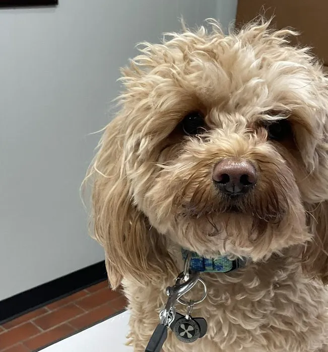 Fayette Veterinary Clinic Picture 7