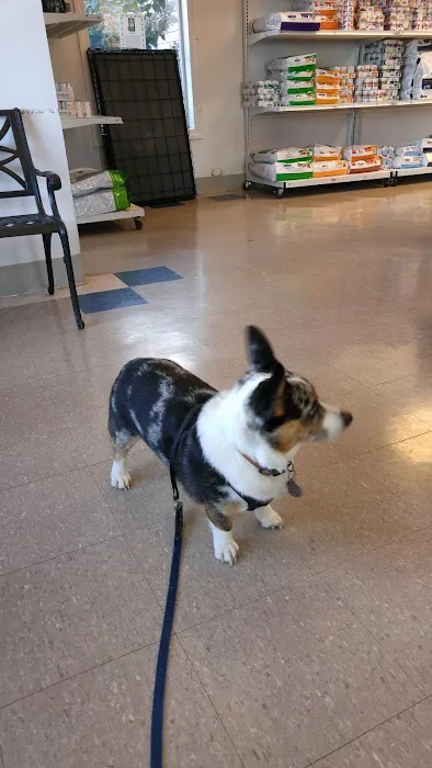 Barnes Mill Animal Hospital Picture 5