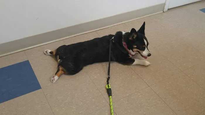 Barnes Mill Animal Hospital Picture 1