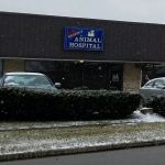 Regency Animal Hospital