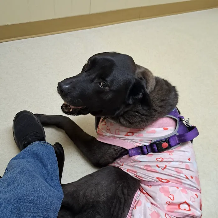 Greens Fork Animal Hospital Picture 6