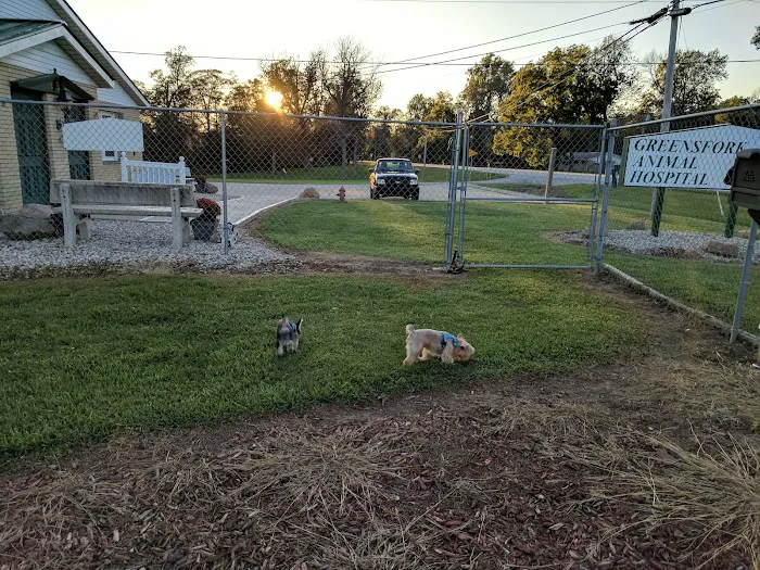 Greens Fork Animal Hospital Picture 7