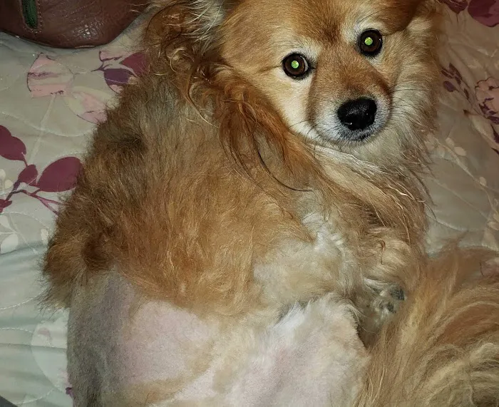 Greens Fork Animal Hospital Picture 5