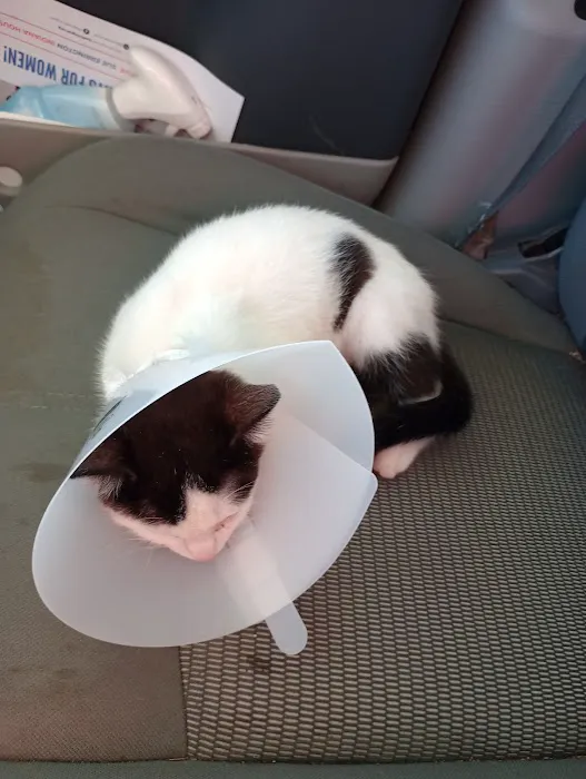 Parker Veterinary Service Picture 1