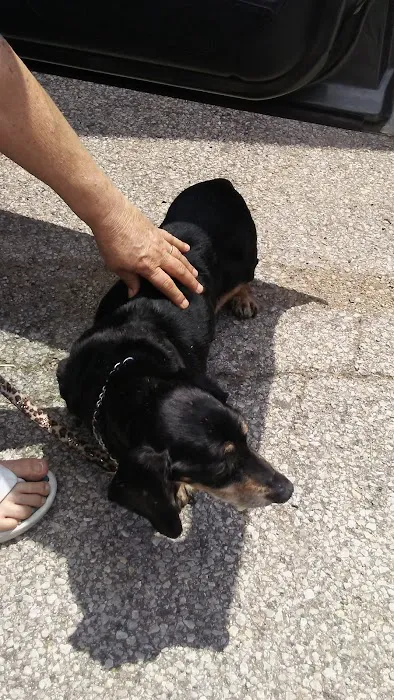 Parker Veterinary Service Picture 6