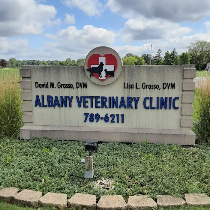 Albany Veterinary Clinic Inc. Picture 9