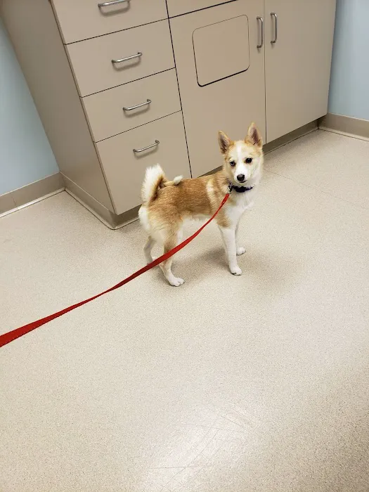 Albany Veterinary Clinic Inc. Picture 10