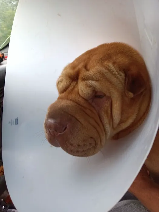 Riverview Animal Hospital Picture 5