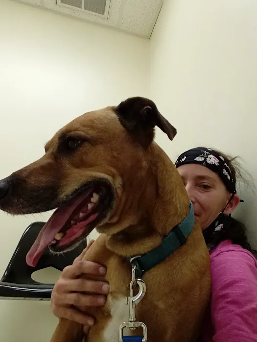 Riverview Animal Hospital Picture 6