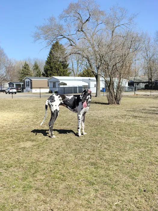 Riverview Animal Hospital Picture 3