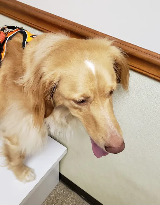 Connersville Veterinary Clinic Picture 1