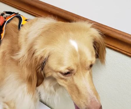 Connersville Veterinary Clinic