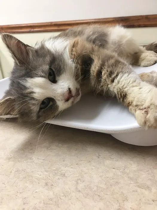 Connersville Veterinary Clinic Picture 3