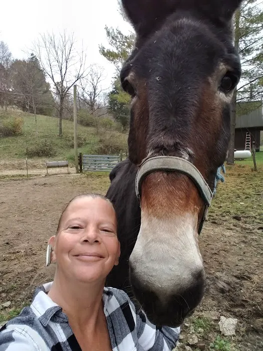 Brookville Veterinary Clinic Picture 1