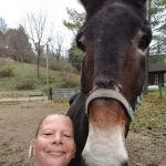 Brookville Veterinary Clinic