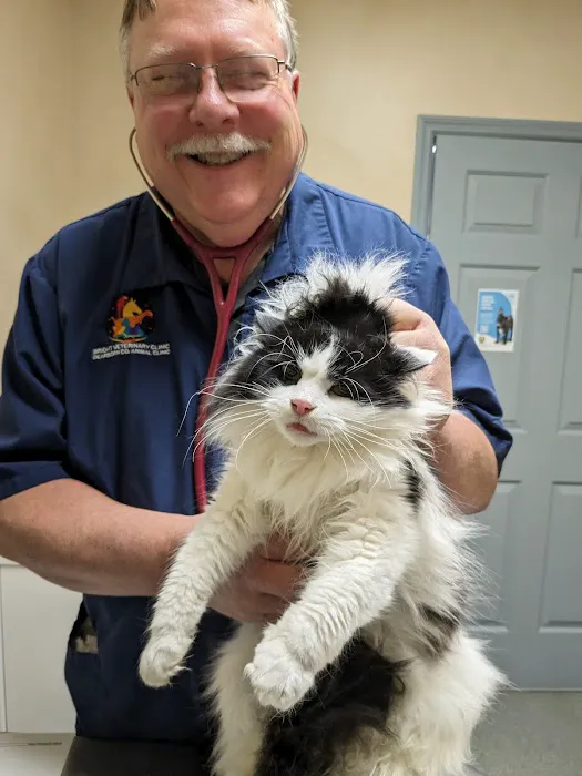 Bright Veterinary Clinic Picture 3