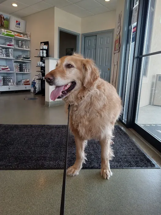 Bright Veterinary Clinic Picture 9
