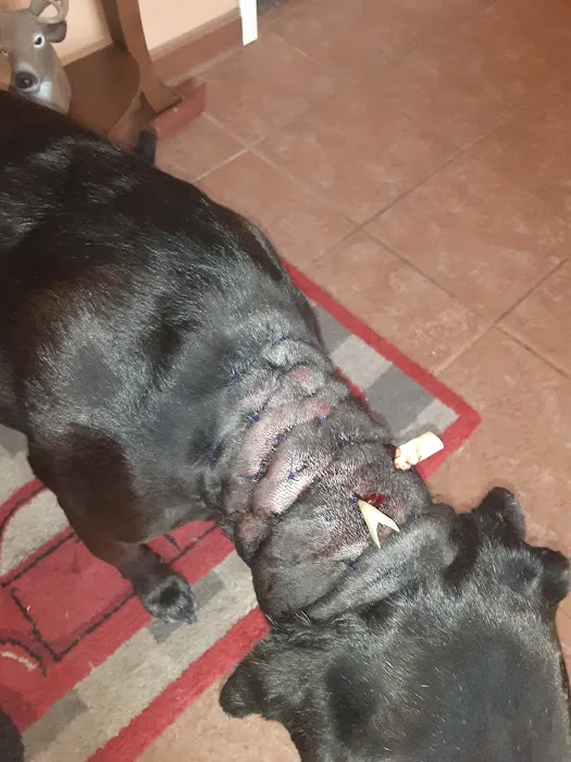 Marion Animal Hospital Picture 6