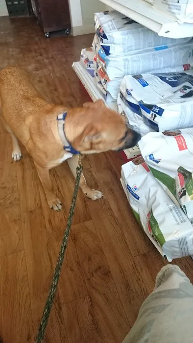 Marion Animal Hospital: Kunde K L DVM Picture 1