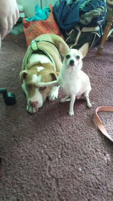 Deason Animal Hospital Picture 4
