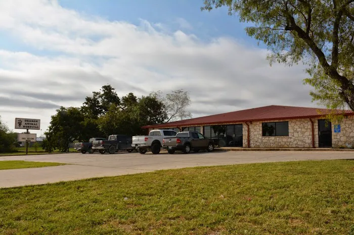 Deason Animal Hospital Picture 8