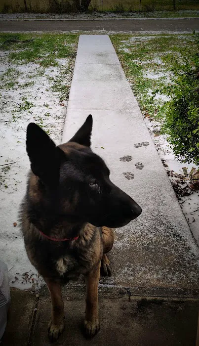 Deason Animal Hospital Picture 7