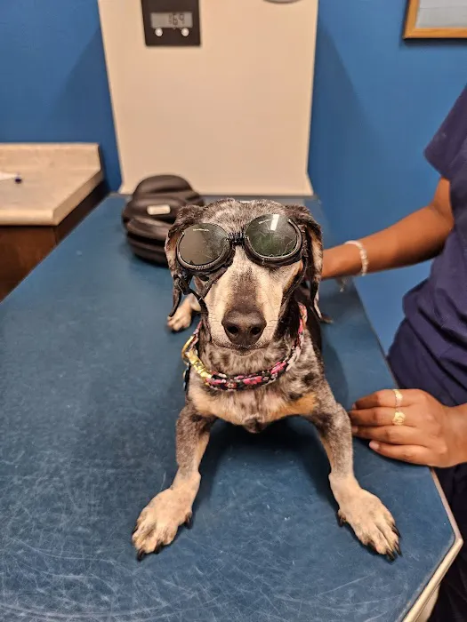 Turning Stone Animal Hospital Picture 1