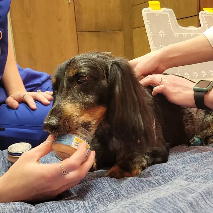 Turning Stone Animal Hospital Picture 7