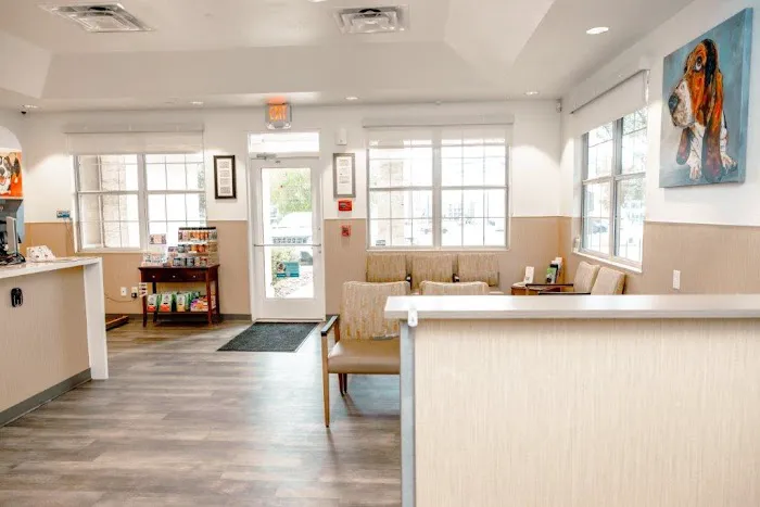 VCA Veterinary Hospital of Leon Springs Picture 2