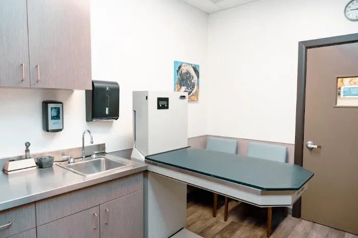 VCA Veterinary Hospital of Leon Springs Picture 9