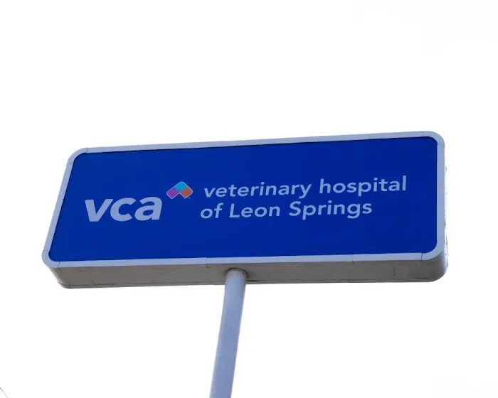 VCA Veterinary Hospital of Leon Springs Picture 3