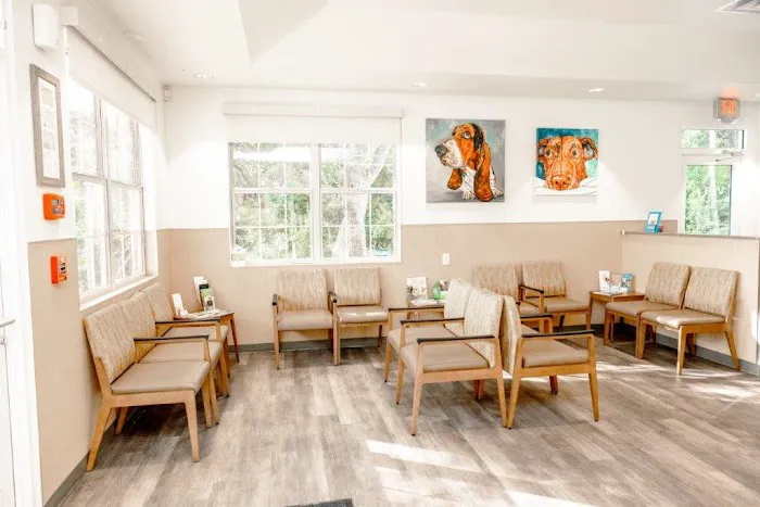 VCA Veterinary Hospital of Leon Springs Picture 4
