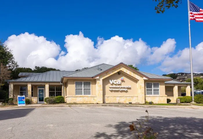 VCA Veterinary Hospital of Leon Springs Picture 5