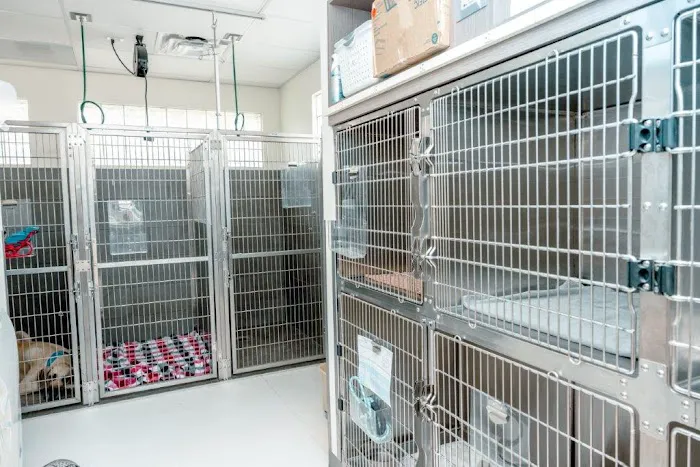 VCA Veterinary Hospital of Leon Springs Picture 7