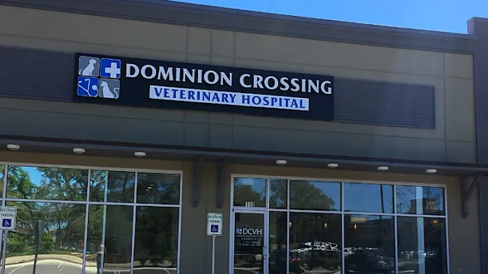 Dominion Crossing Veterinary Hospital Picture 10