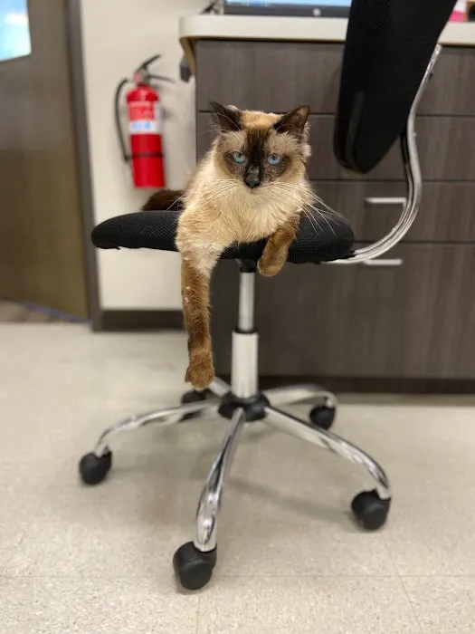 Dominion Crossing Veterinary Hospital Picture 4