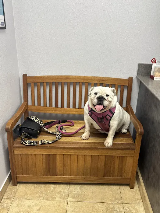 Boerne Stage Veterinary Clinic Picture 8