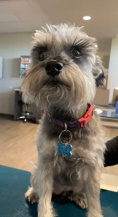 Heritage Oaks Animal Hospital Picture 2