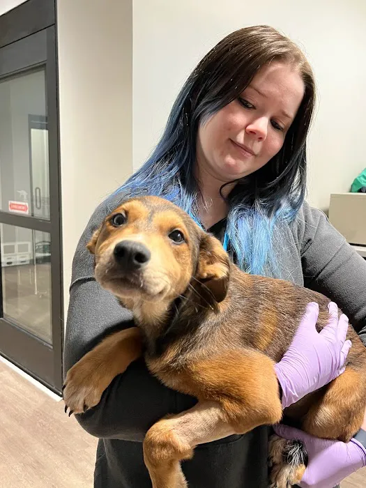 Heritage Oaks Animal Hospital Picture 1