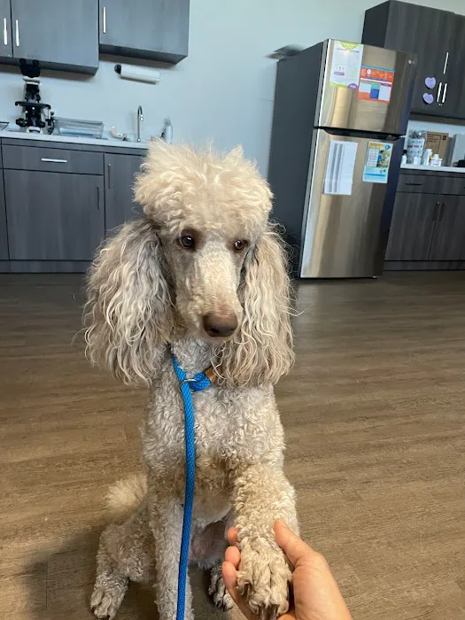 Heritage Oaks Animal Hospital Picture 10