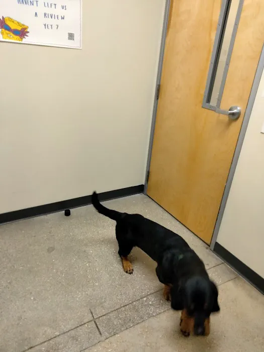 Vetco Total Care Animal Hospital Picture 1