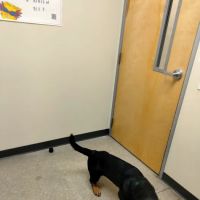 Vetco Total Care Animal Hospital ico