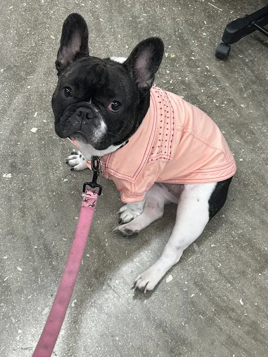 Vetco Total Care Animal Hospital Picture 8
