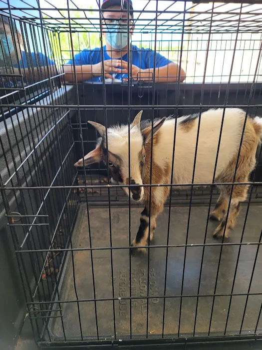 Hondo Veterinary Hospital Picture 10