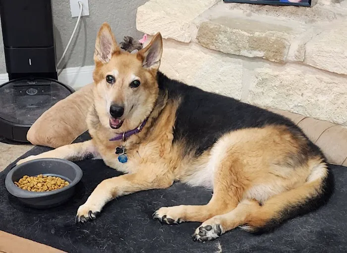 Hondo Veterinary Hospital Picture 7