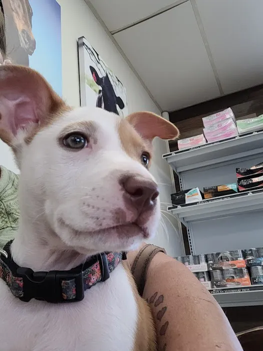Hondo Veterinary Hospital Picture 8