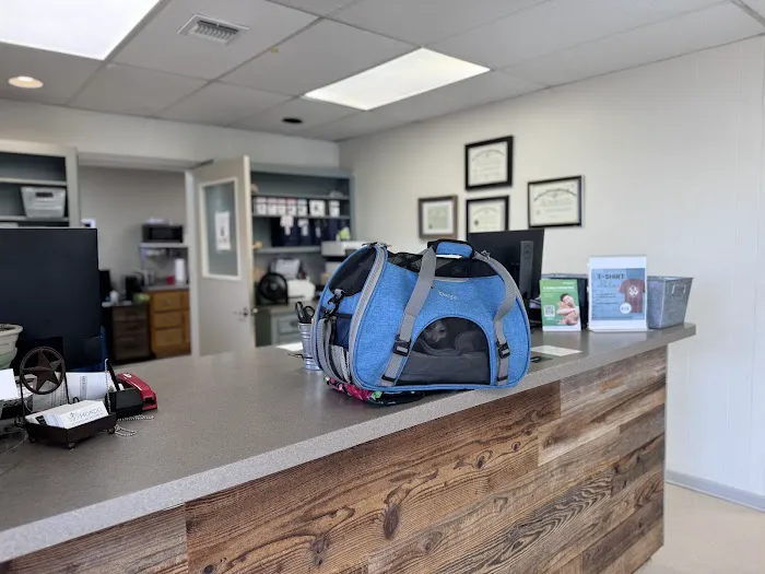 Hondo Veterinary Hospital Picture 9