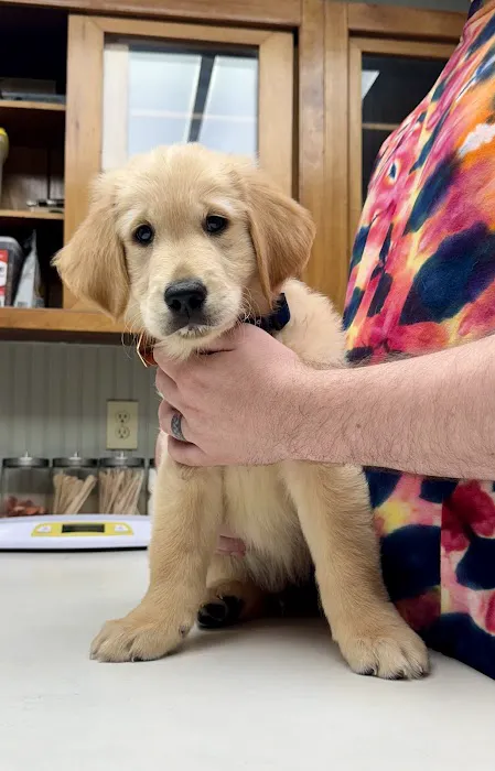 Hondo Veterinary Hospital Picture 6