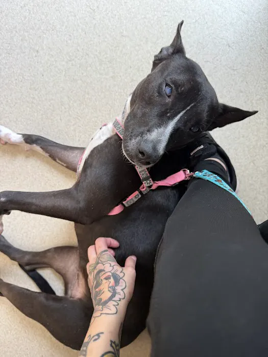 Hondo Veterinary Hospital Picture 5